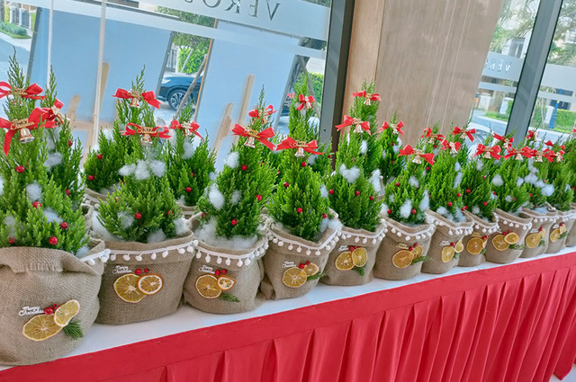 Verosa Park Khang Điền: “Sở hữu nhà sang – Giáng sinh rinh quà”