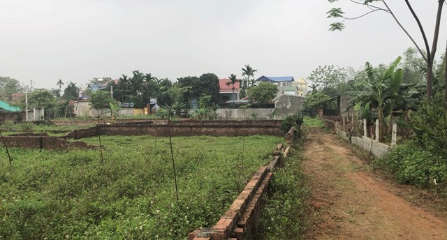 Cuối năm nhà đất Hòa Lạc, Thạch Thất (Hà Nội) đang bị môi giới đánh lên...nhà đầu tư cần tỉnh táo