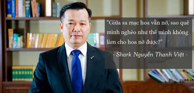 Tiểu sử về shark Việt