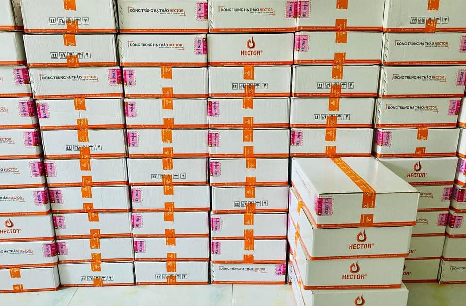 Hector Store – Nhà phân phối Hector lớn nhất trên toàn quốc Hector Store – Nhà phân phối Hector lớn nhất trên toàn quốc