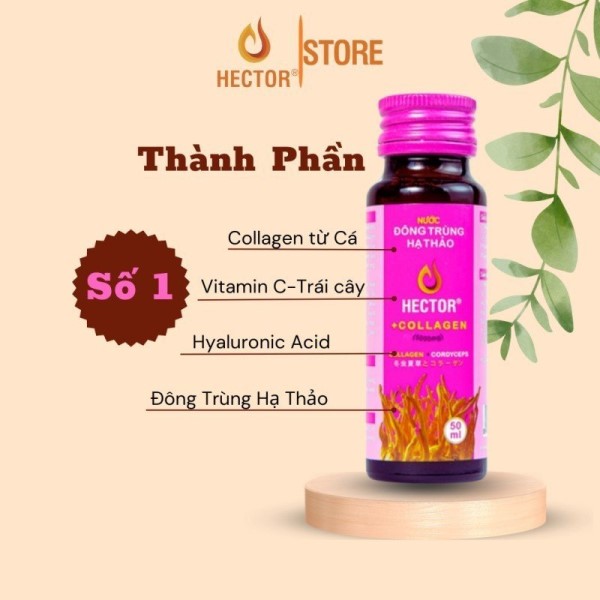 Thành phần chính có trong chai Hector Collagen Đông Trùng Hạ Thảo
